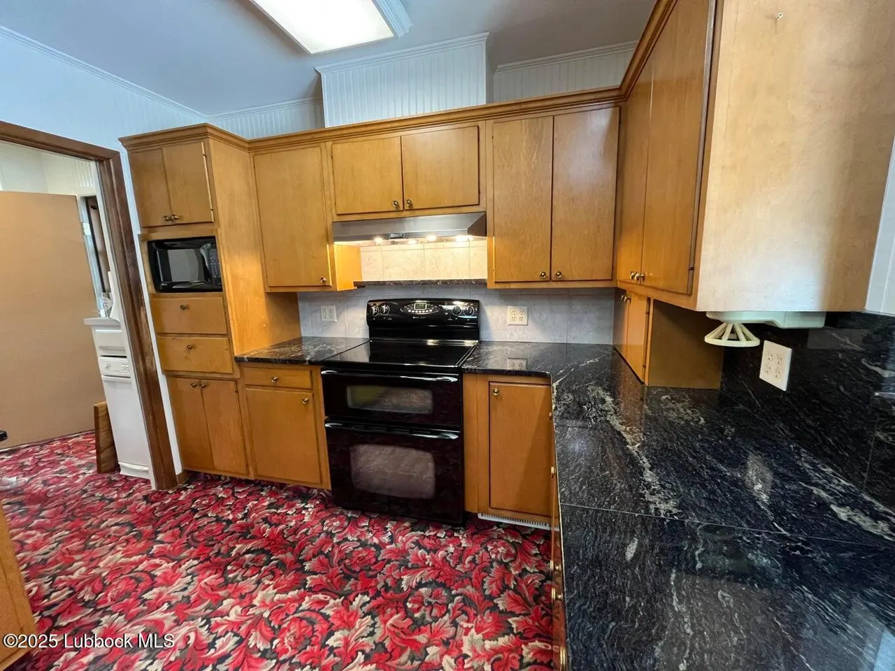 Photo 65 — 103 Yucca Terrace, Plainview, TX 79072