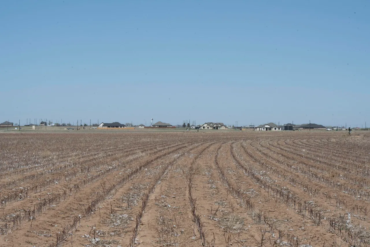 Photo 4 — 1730  S Slide Road, New Home, TX 79383