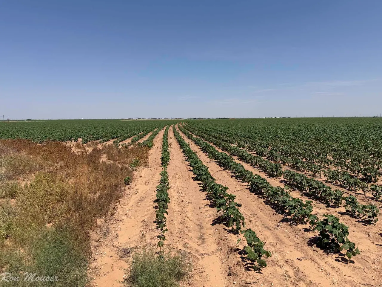 Photo 5 — 1730  S Slide Road, New Home, TX 79383