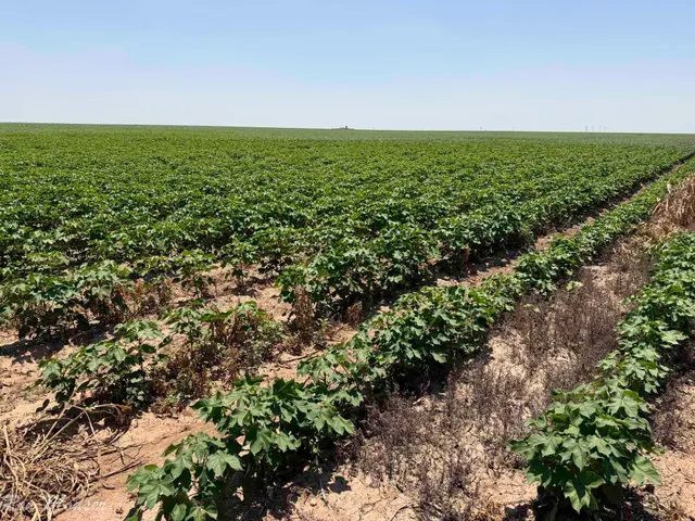 Photo 3 — 1730  S Slide Road, New Home, TX 79383