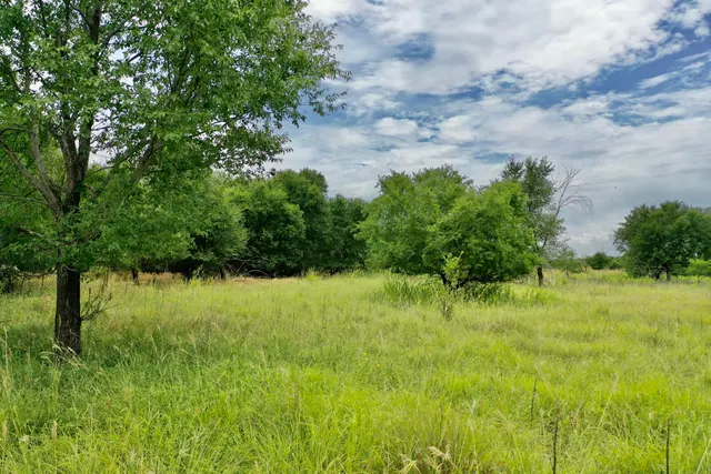 Photo 4 — 907 Co Rd 3, Turkey, TX 79261
