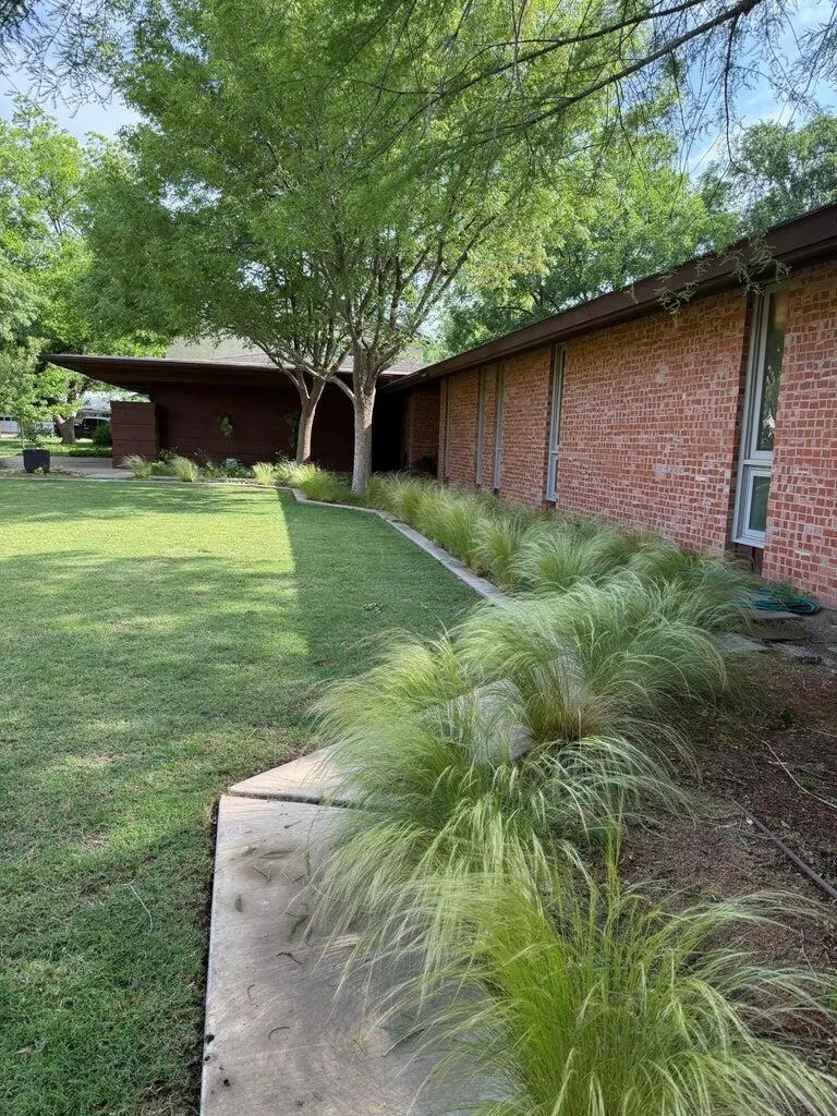 Photo 5 — 1408 Borger, Plainview, TX 79072