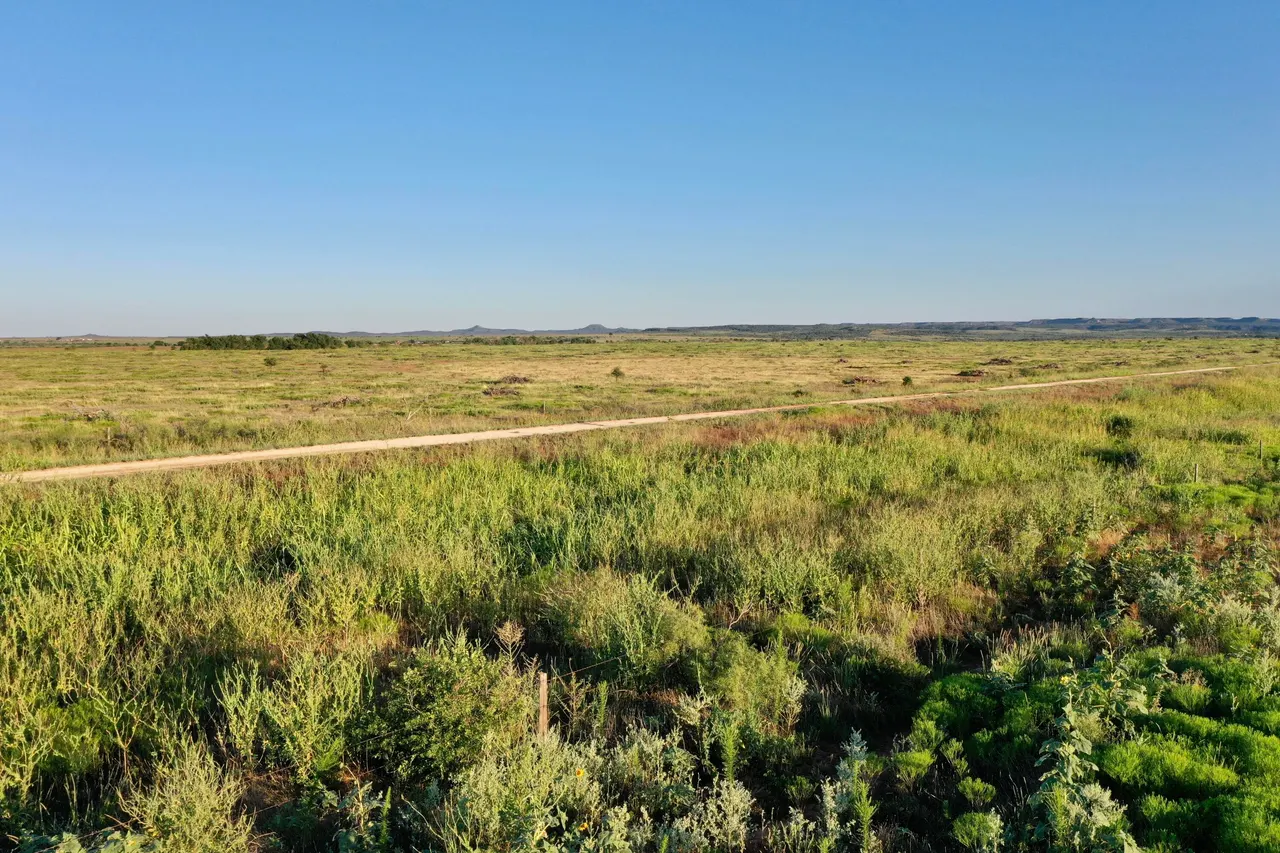 Photo 10 — 0 FM 689, Quitaque, TX 79255