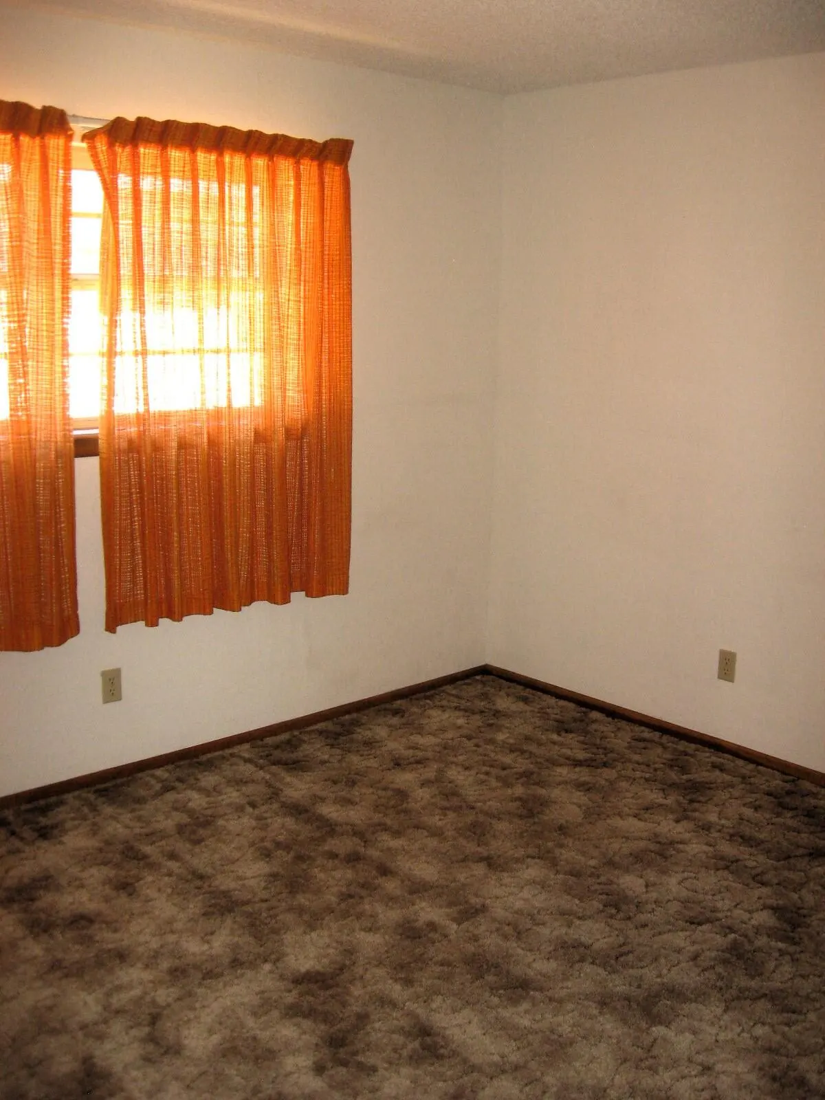 Photo 26 — 311 Douglas Street, Levelland, TX 79336