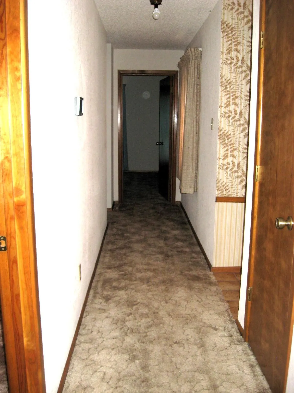 Photo 29 — 311 Douglas Street, Levelland, TX 79336