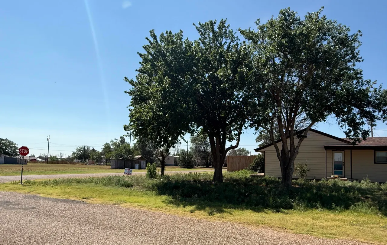 Photo 6 — 1102 Avenue B, Plains, TX 79355