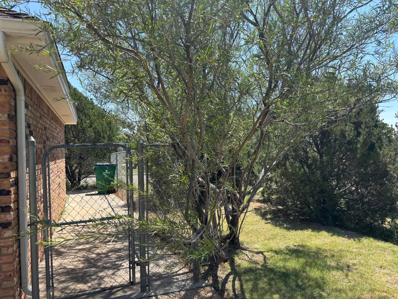 Photo 51 — 3 N Rim Road, Ransom Canyon, TX 79366