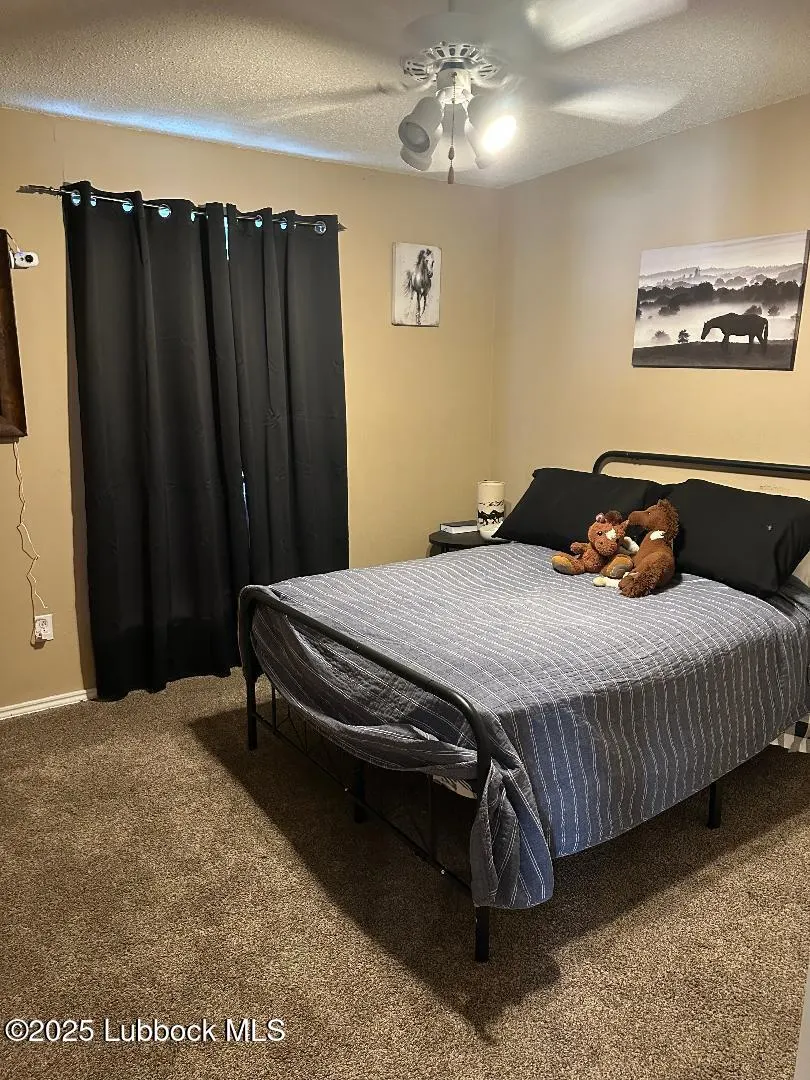 Photo 10 — 5331 E County Rd 6400, Lubbock, TX 79403