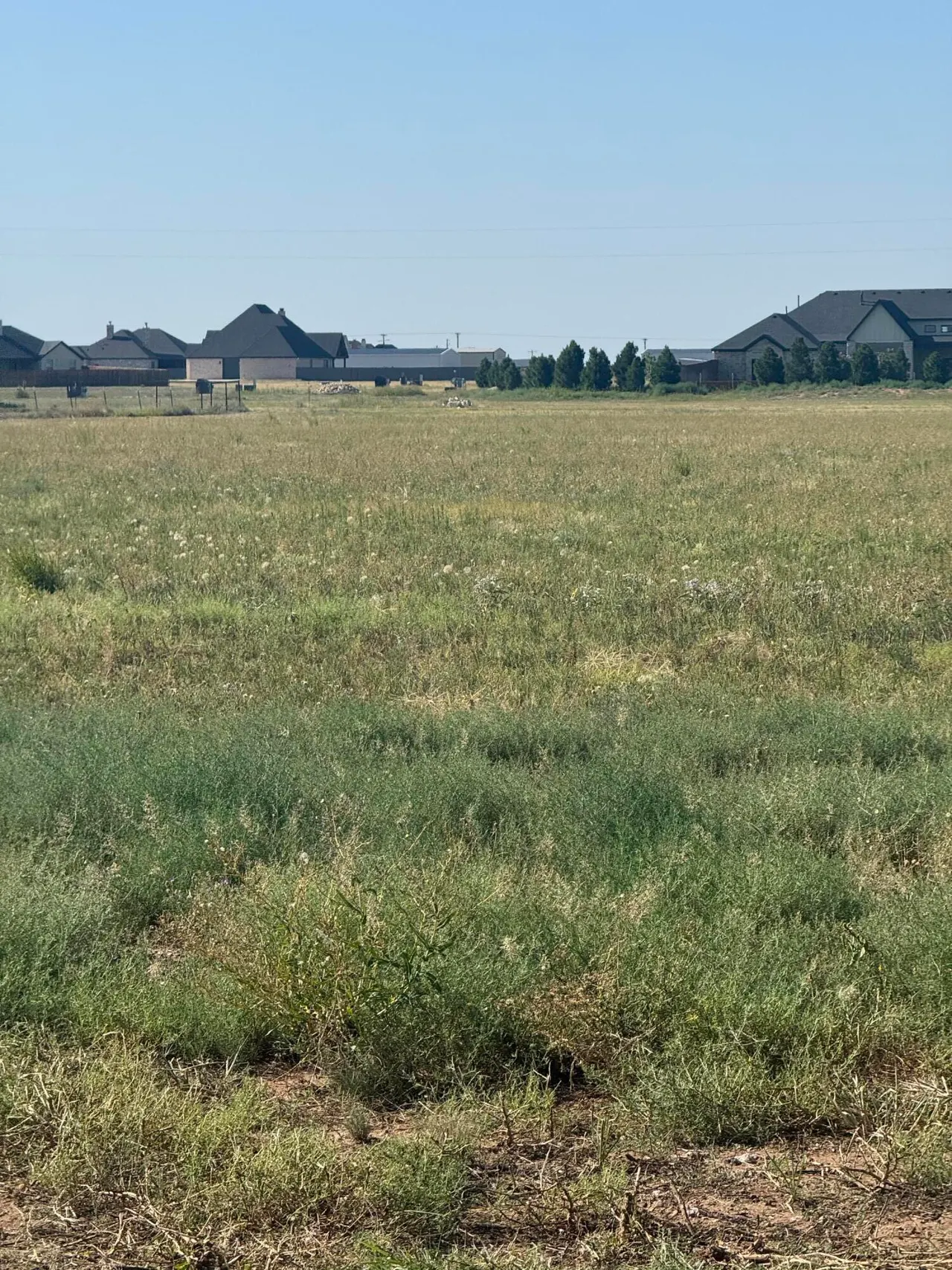 Photo 3 — Lot 6 County Road L, New Home, TX 79383