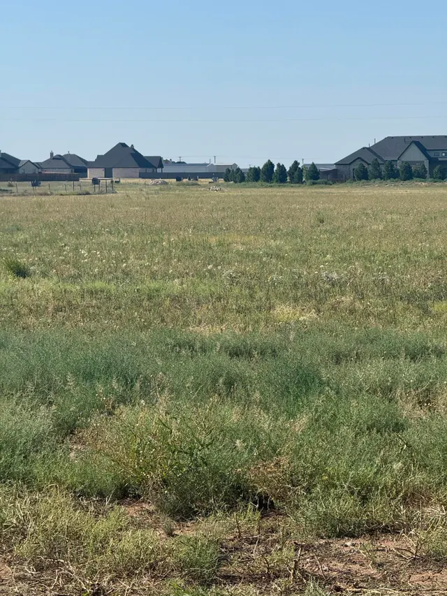 Photo 3 — Lot 6 County Road L, New Home, TX 79383