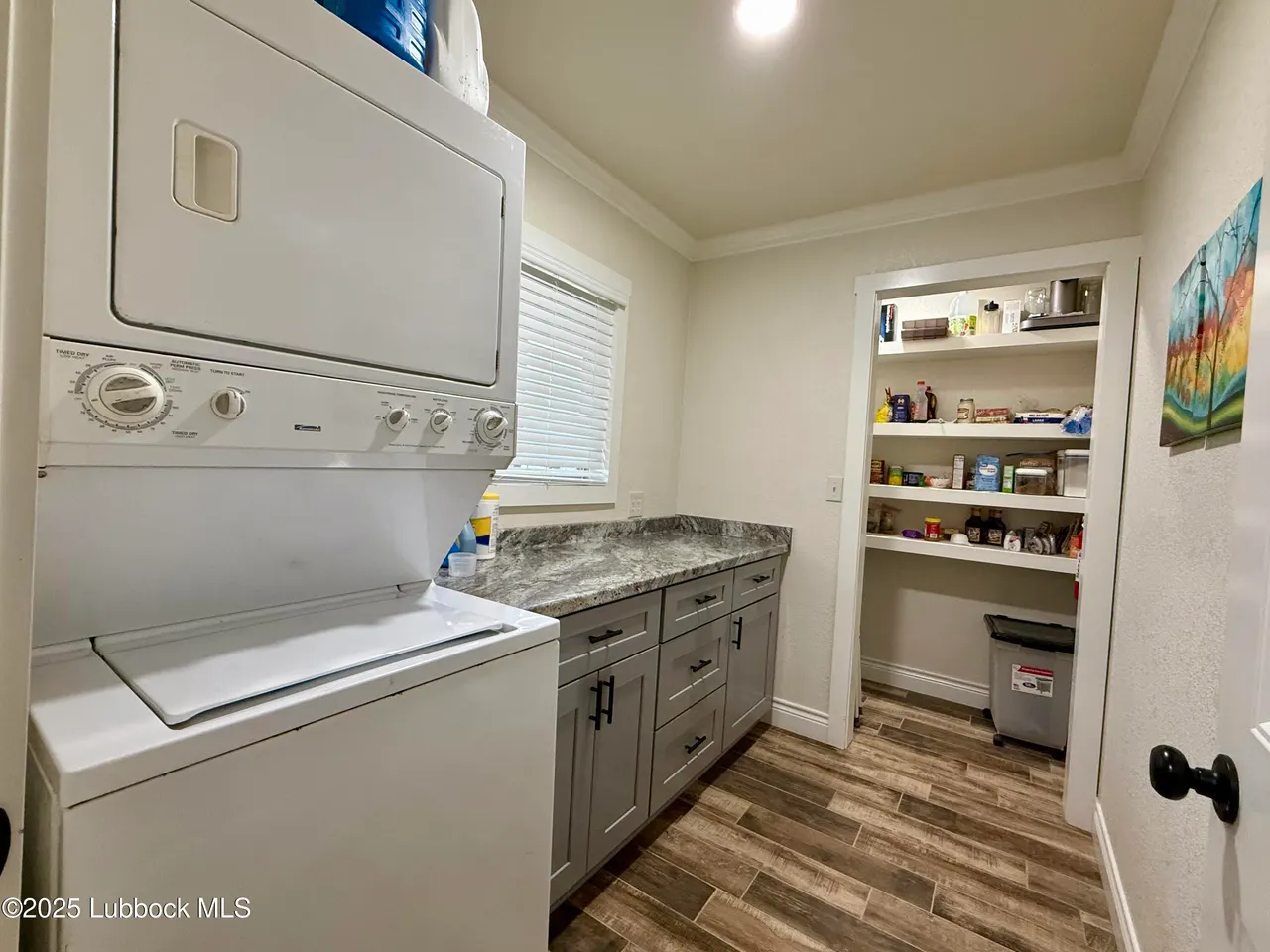 Photo 31 — 1010 Fagan Road, Snyder, TX 79549