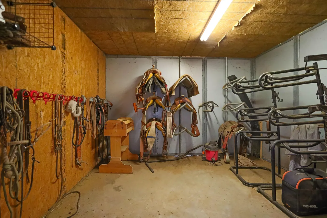 Photo 52 — 3401 E Regis Street, Lubbock, TX 79403