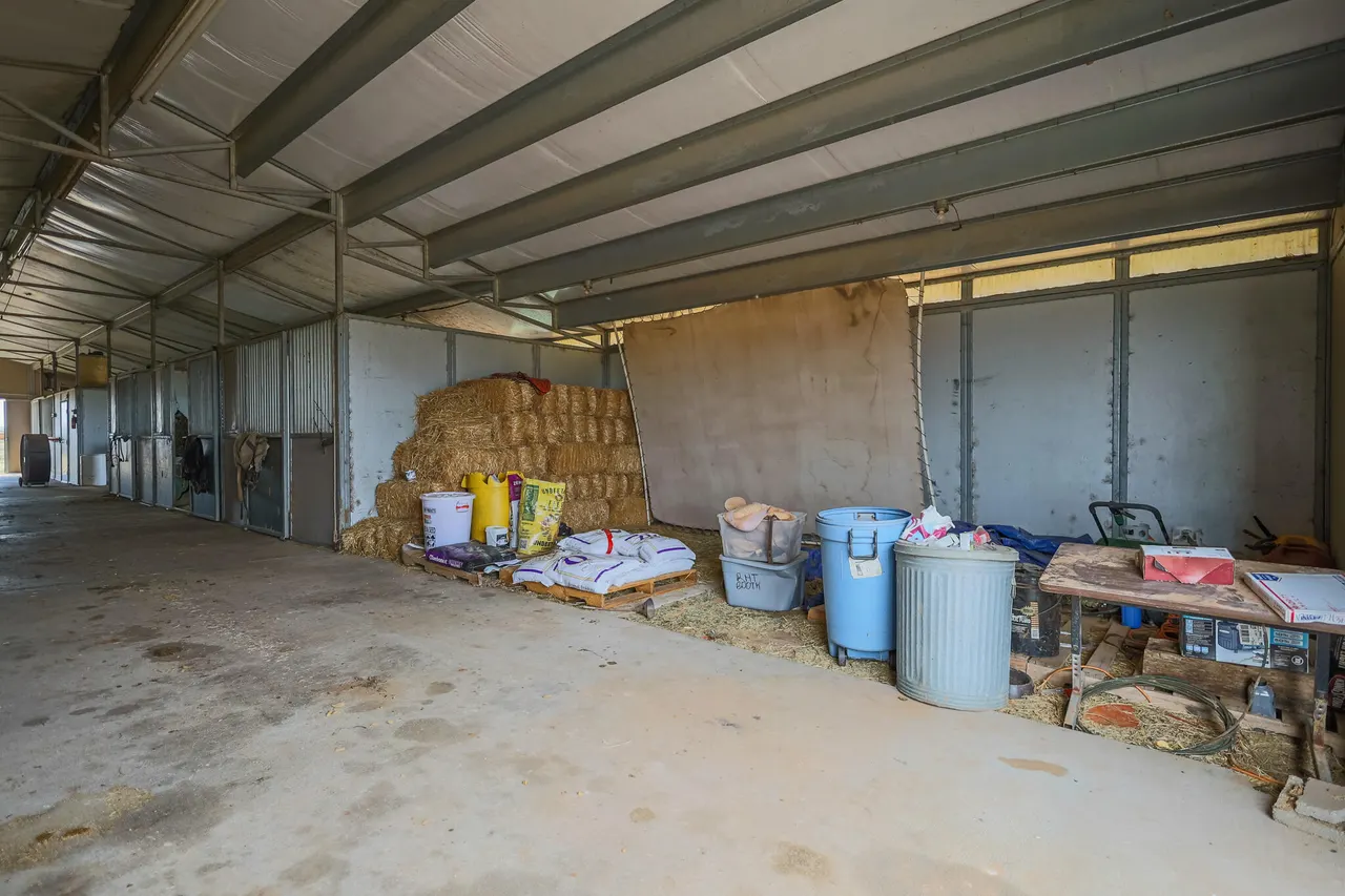 Photo 50 — 3401 E Regis Street, Lubbock, TX 79403