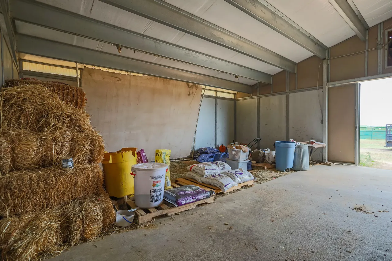 Photo 49 — 3401 E Regis Street, Lubbock, TX 79403