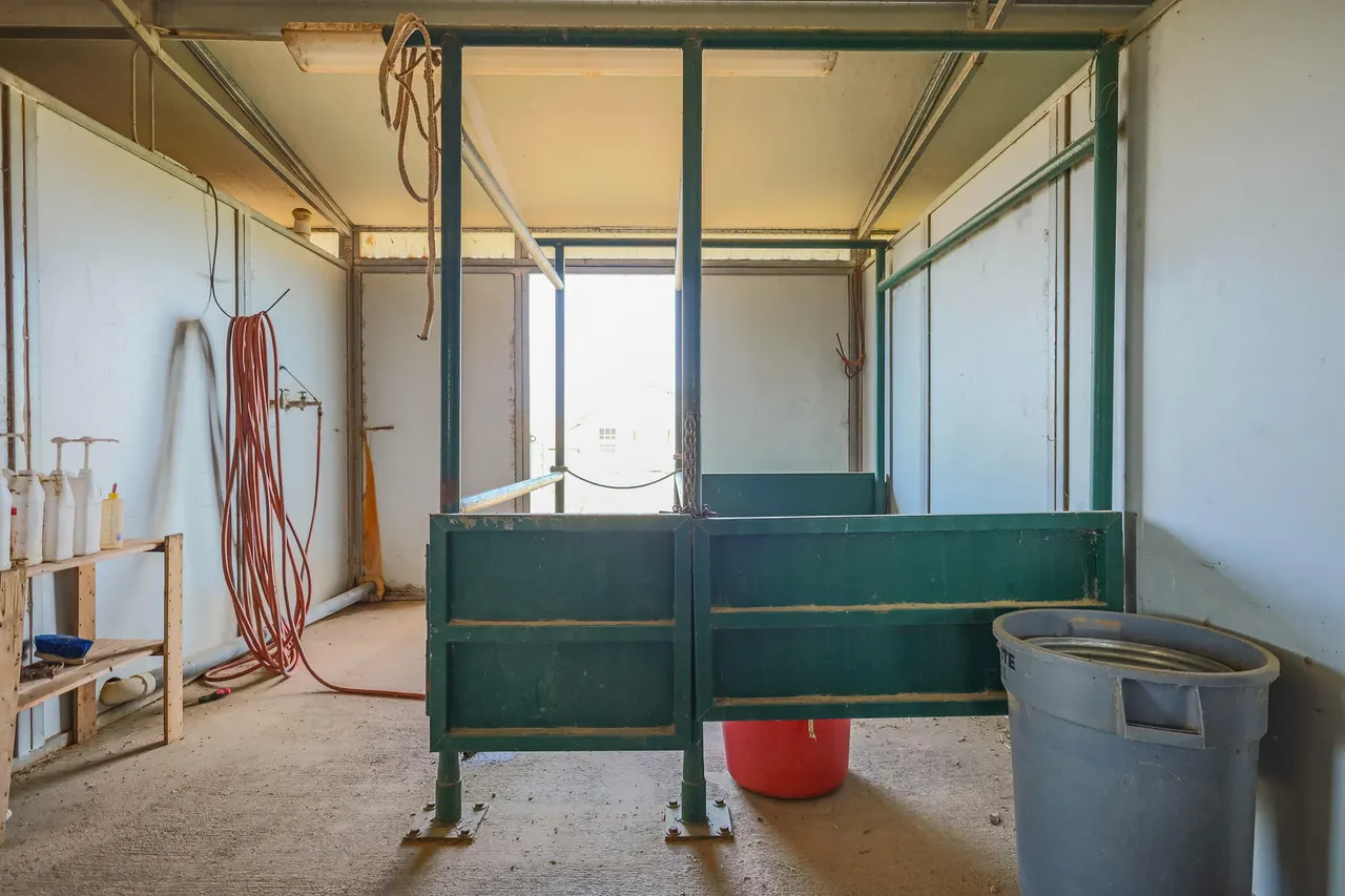 Photo 48 — 3401 E Regis Street, Lubbock, TX 79403