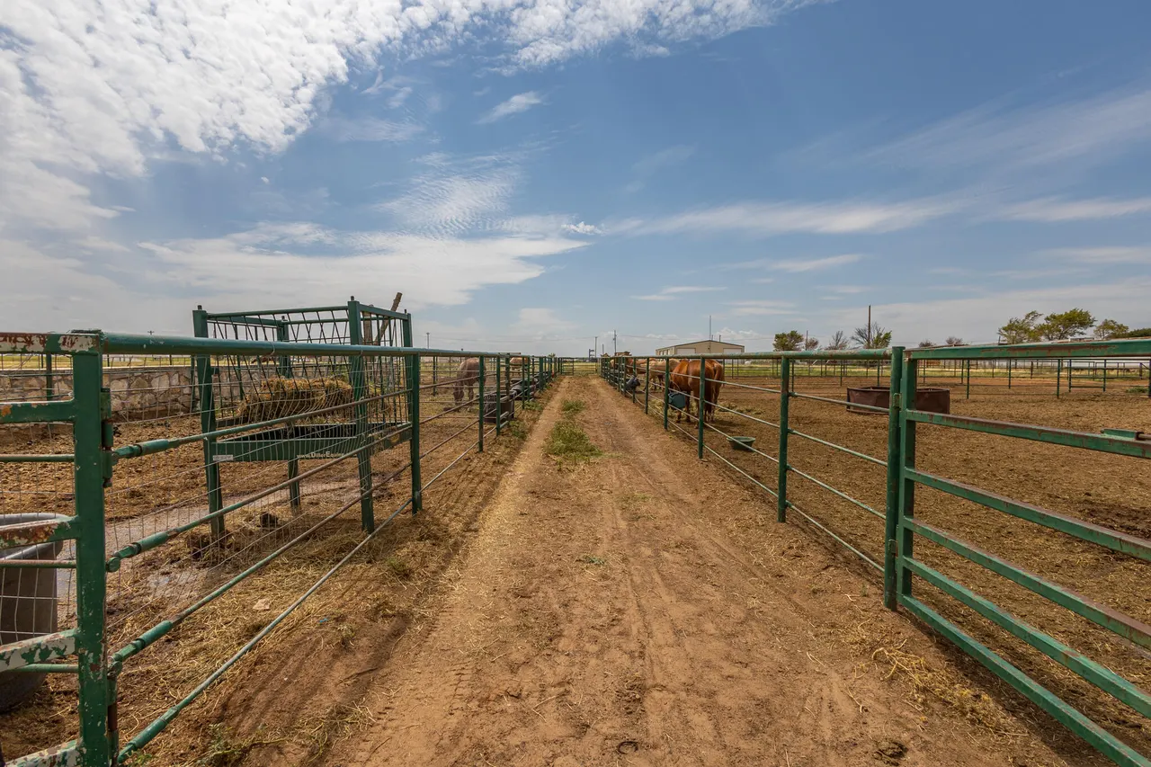 Photo 43 — 3401 E Regis Street, Lubbock, TX 79403