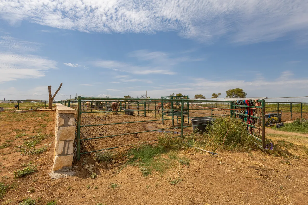 Photo 41 — 3401 E Regis Street, Lubbock, TX 79403
