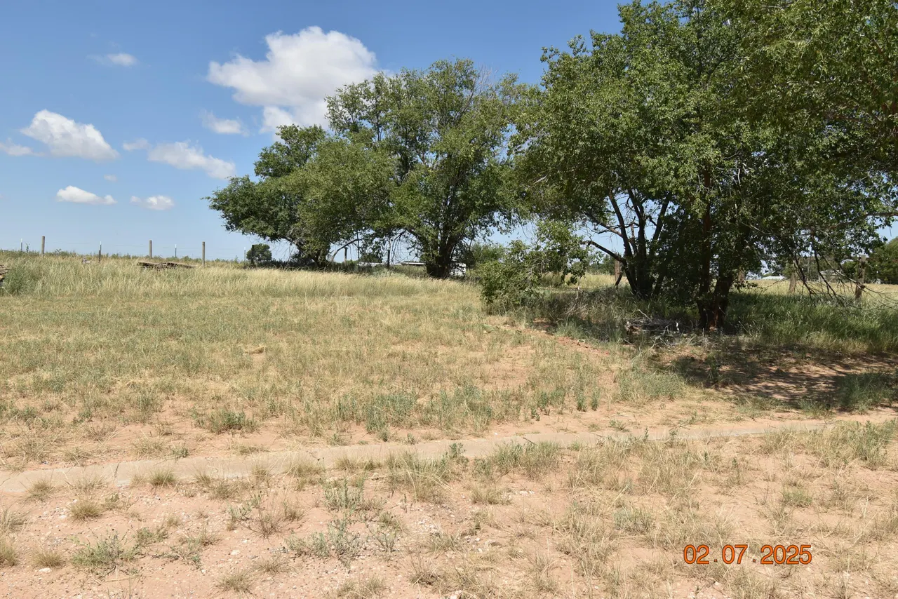 Photo 58 — 100 N Sunset Avenue, Littlefield, TX 79339