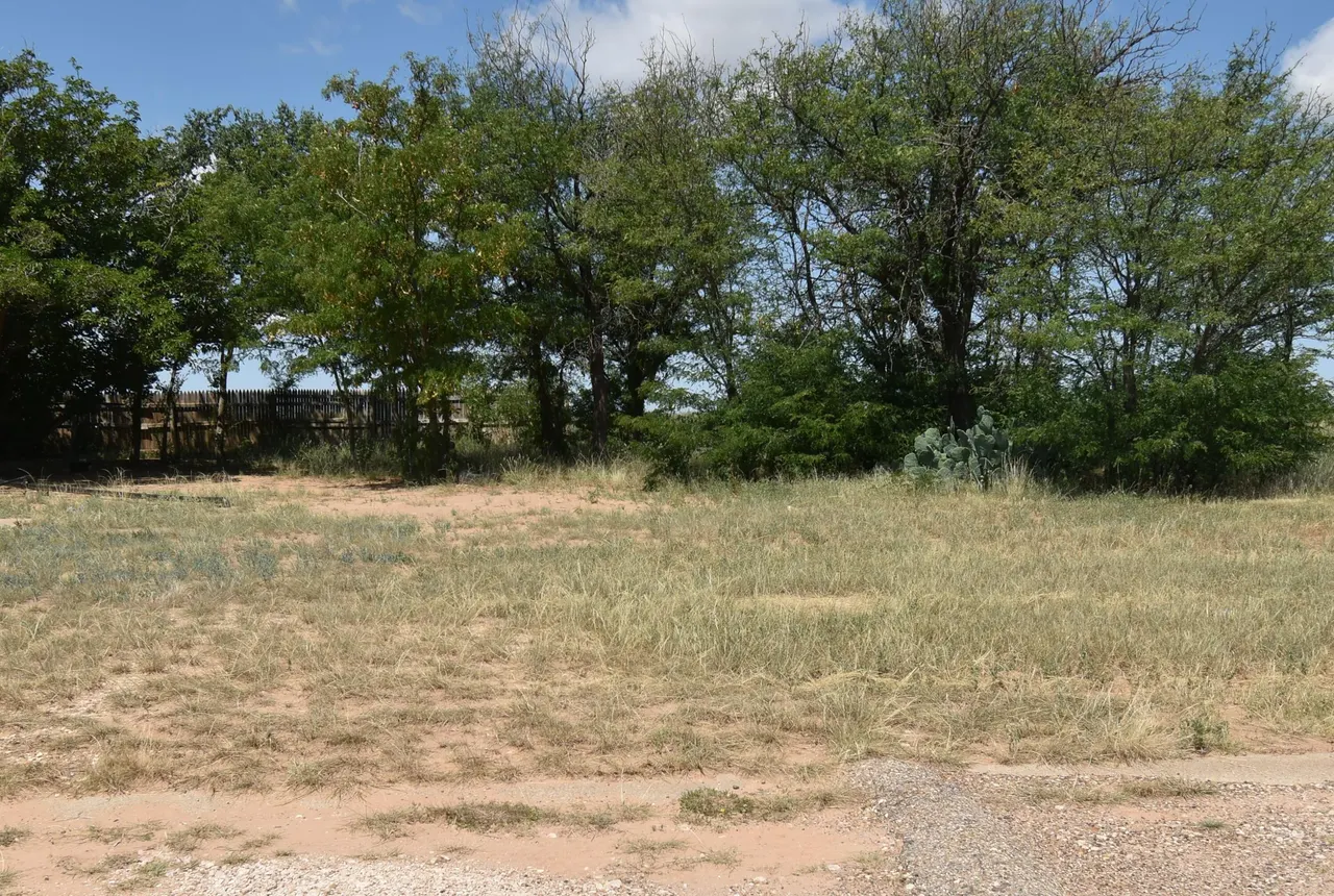 Photo 78 — 100 N Sunset Avenue, Littlefield, TX 79339