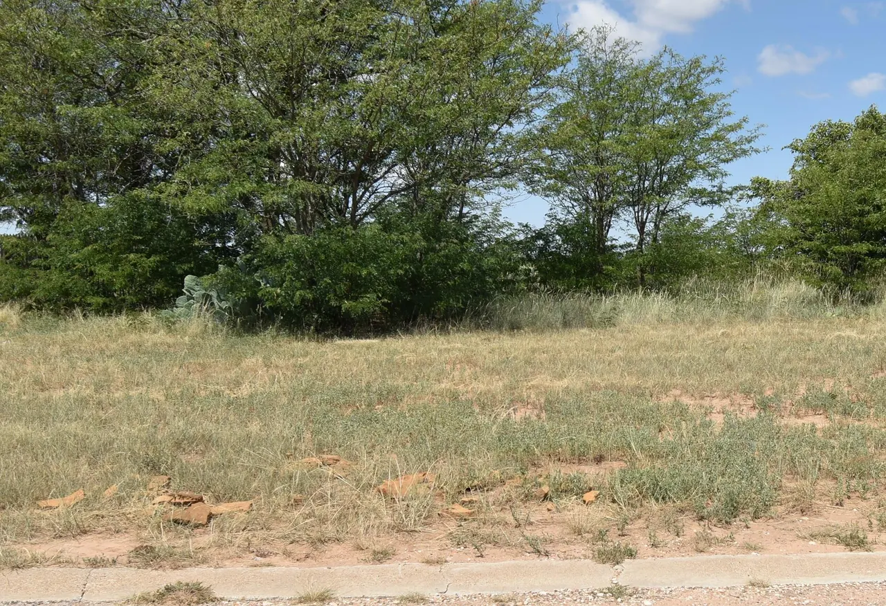 Photo 79 — 100 N Sunset Avenue, Littlefield, TX 79339