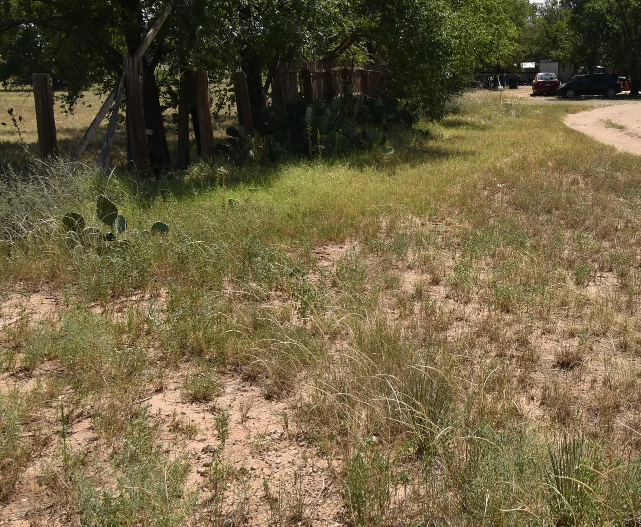 Photo 83 — 100 N Sunset Avenue, Littlefield, TX 79339