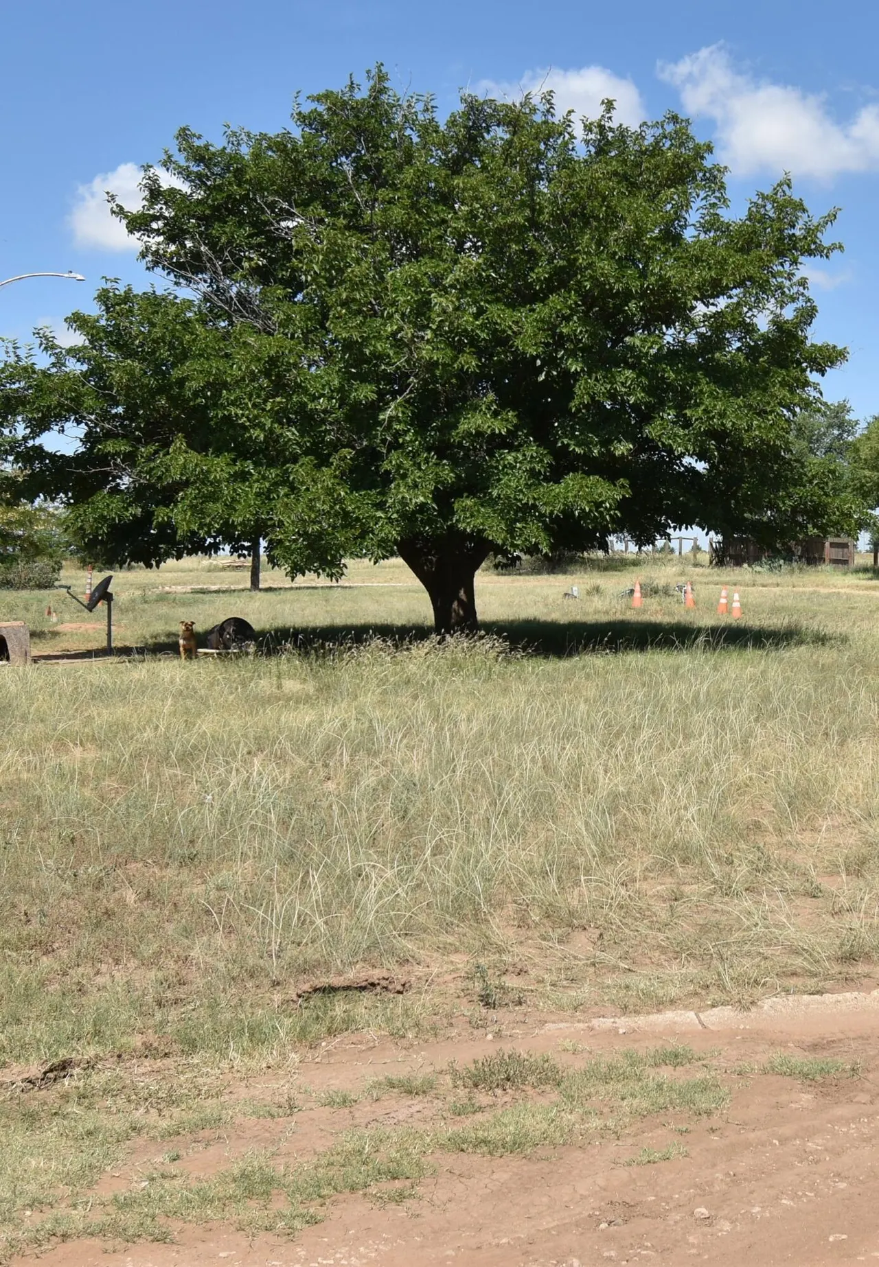 Photo 98 — 100 N Sunset Avenue, Littlefield, TX 79339