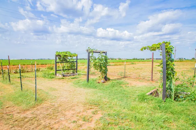 Photo 8 — 7710 County Rd 5800, Shallowater, TX 79363