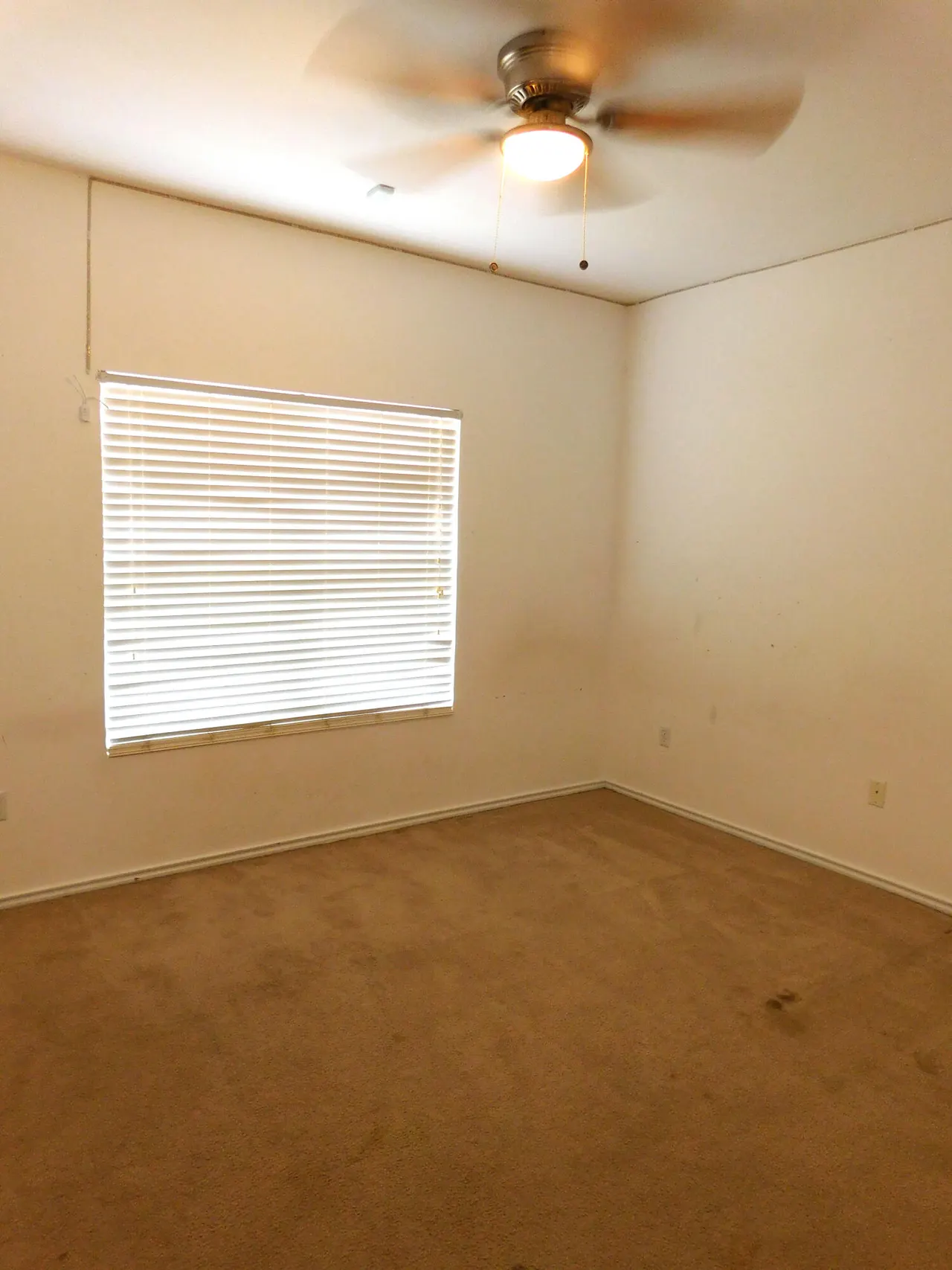 Photo 24 — 1107 W Ave J, Muleshoe, TX 79347