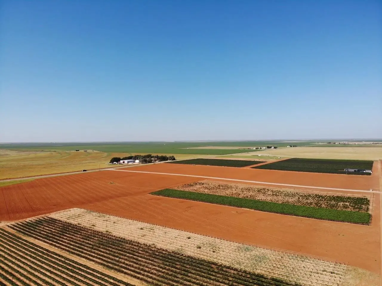 Photo 40 — 574 FM 1317, Tahoka, TX 79373