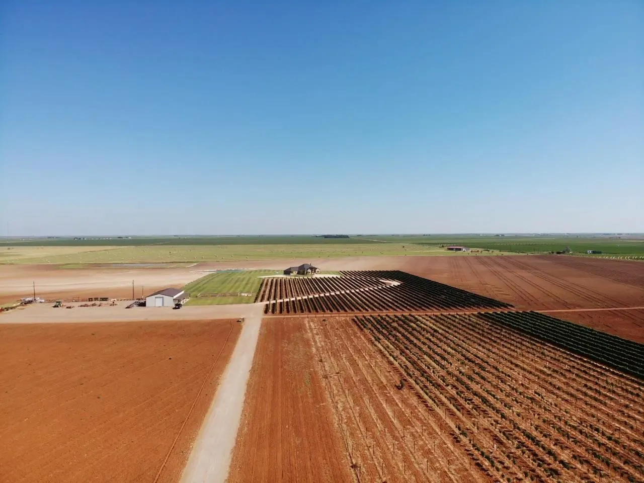 Photo 48 — 574 FM 1317, Tahoka, TX 79373