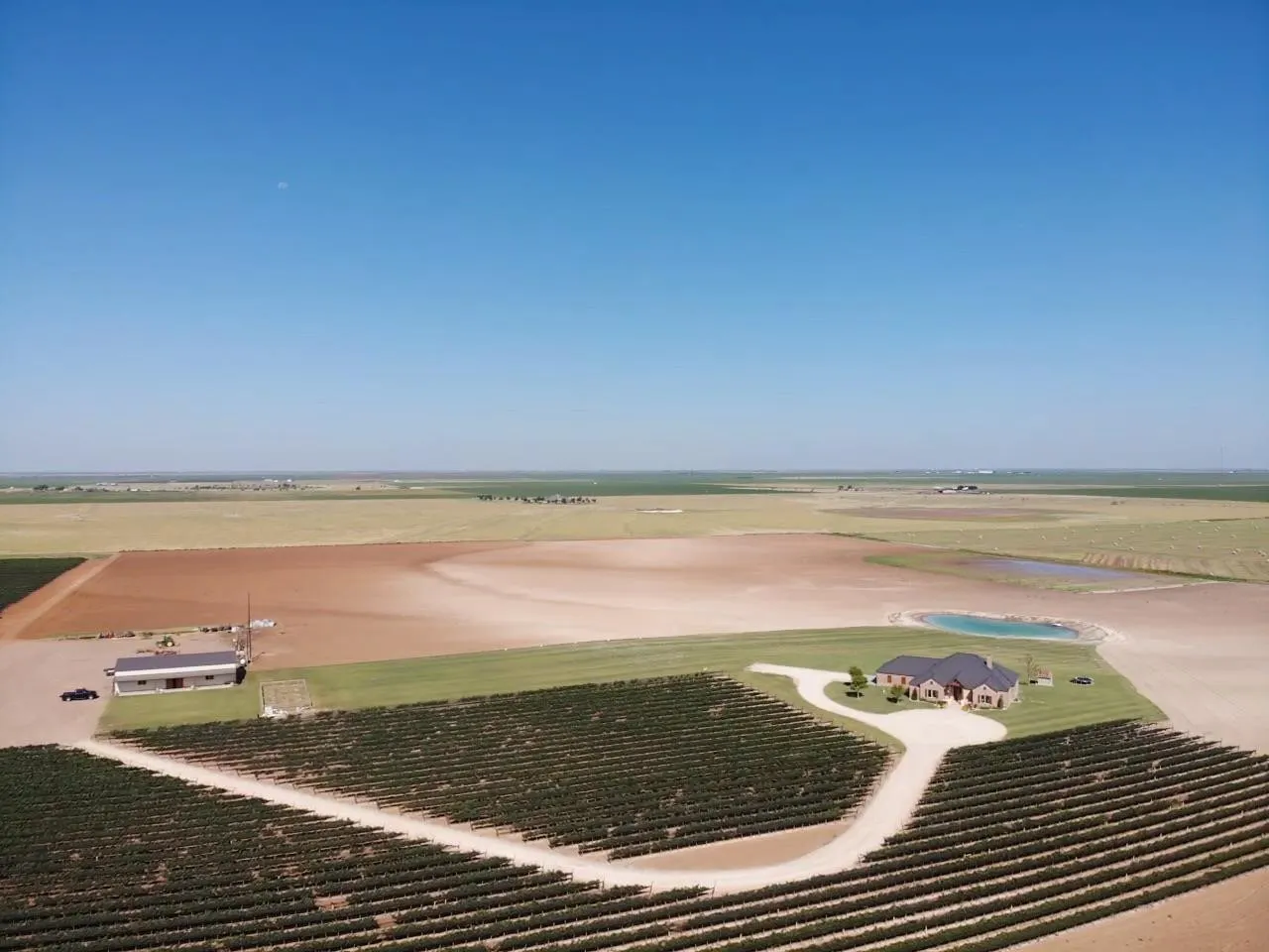 Photo 50 — 574 FM 1317, Tahoka, TX 79373