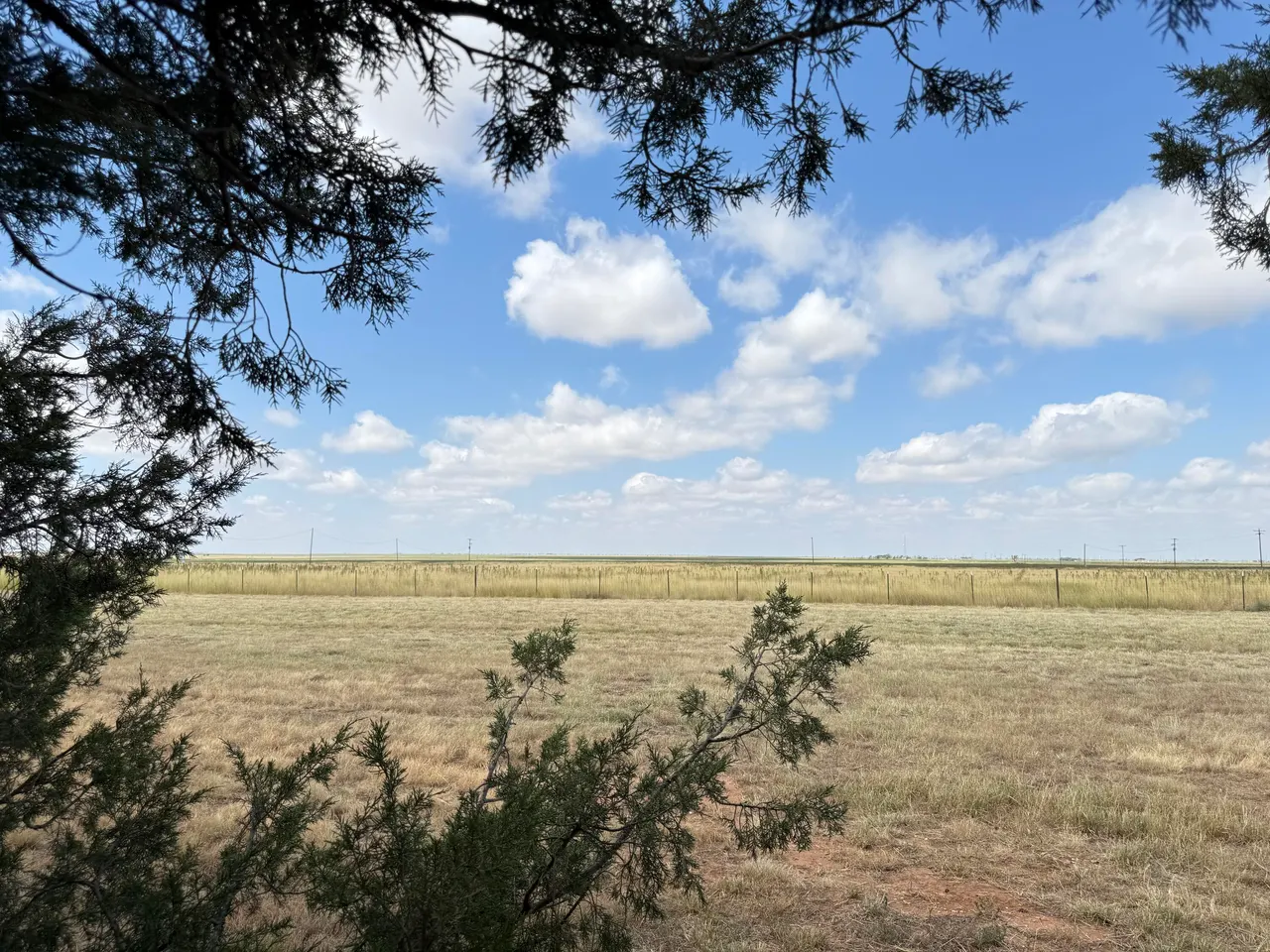Photo 38 — 3391 Fisher Road, Levelland, TX 79336