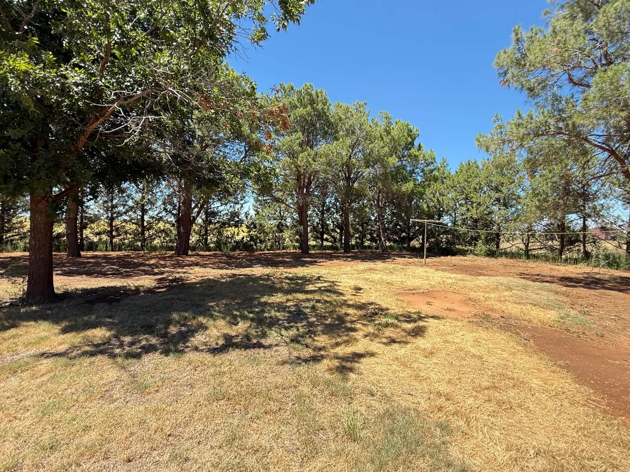 Photo 44 — 3391 Fisher Road, Levelland, TX 79336