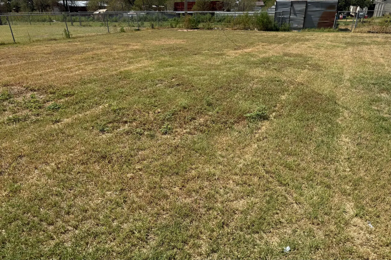 Photo 11 — 408 MONROE, Lorenzo, TX 79343