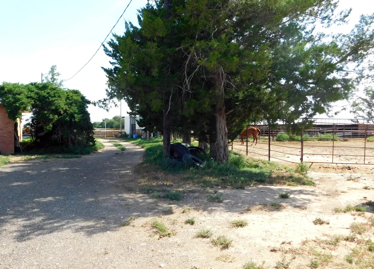 Photo 30 — 830 FM 1760, Muleshoe, TX 79347