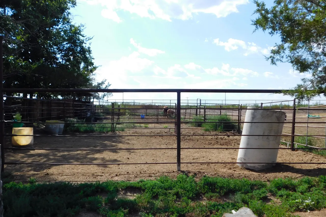 Photo 22 — 830 FM 1760, Muleshoe, TX 79347