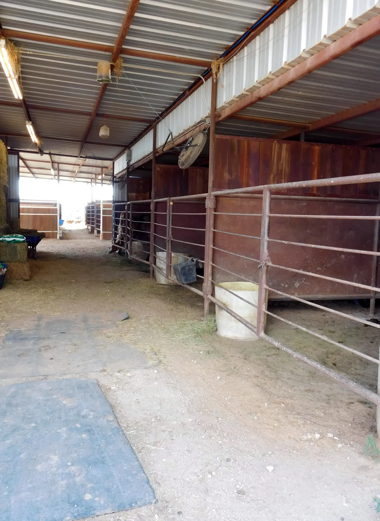 Photo 23 — 830 FM 1760, Muleshoe, TX 79347