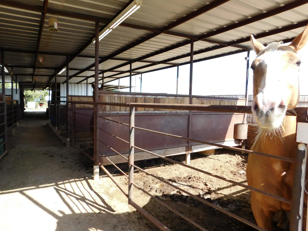 Photo 28 — 830 FM 1760, Muleshoe, TX 79347