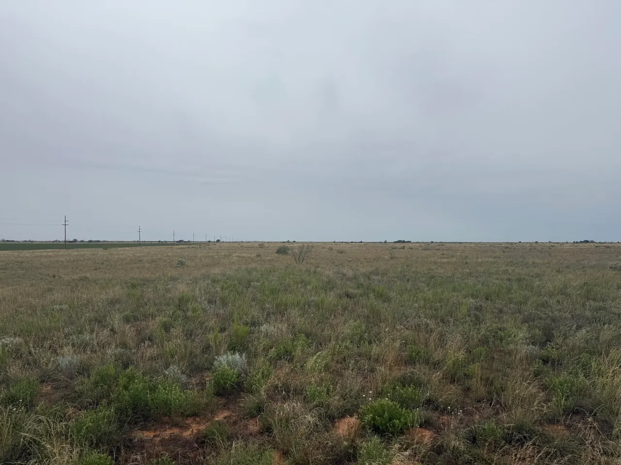 Photo 4 — 0 Fm 168, Brownfield, TX 79316