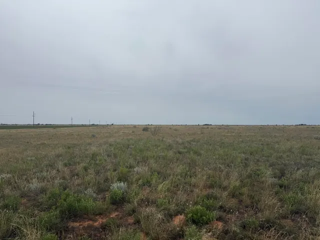 Photo 4 — 0 Fm 168, Brownfield, TX 79316