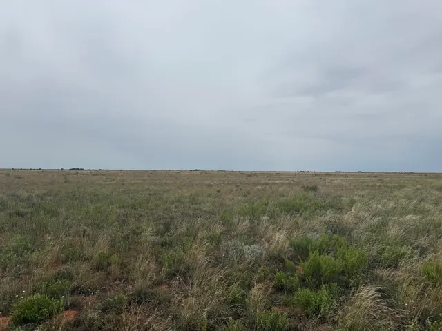 Photo 6 — 0 Fm 168, Brownfield, TX 79316