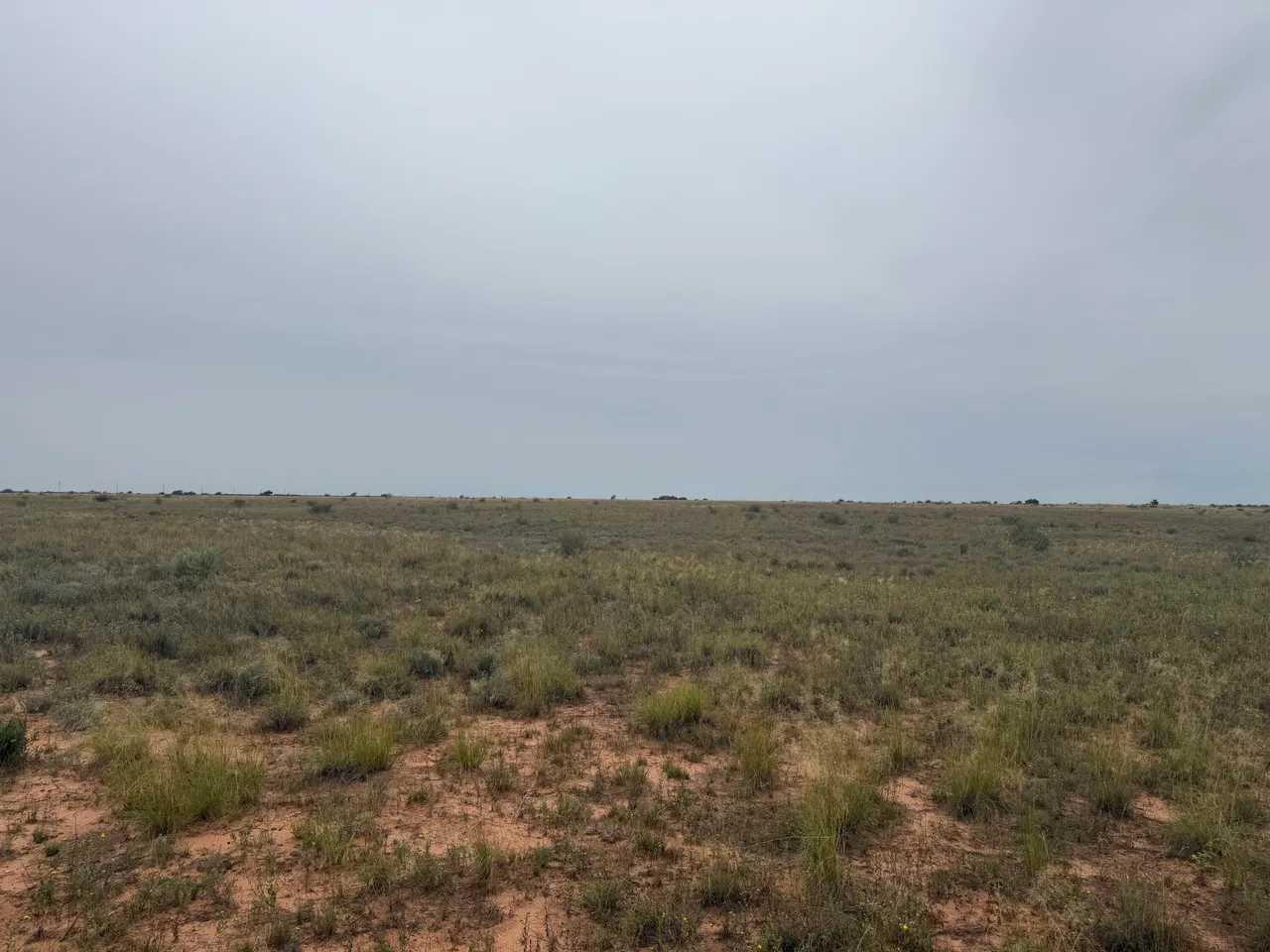 Photo 7 — 0 Fm 168, Brownfield, TX 79316
