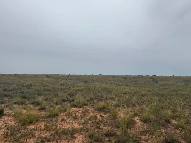 Photo 7 — 0 Fm 168, Brownfield, TX 79316