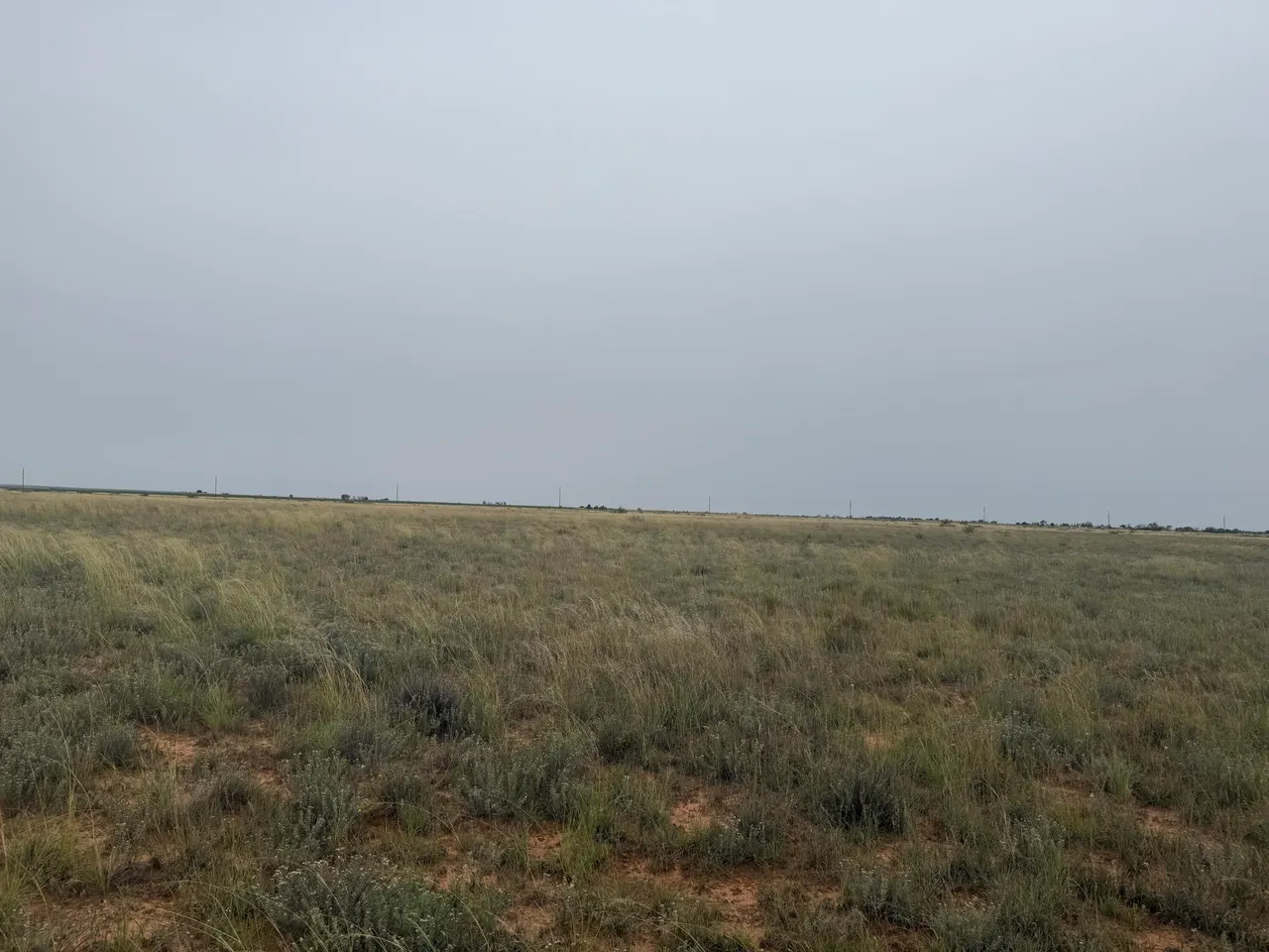 Photo 9 — 0 Fm 168, Brownfield, TX 79316