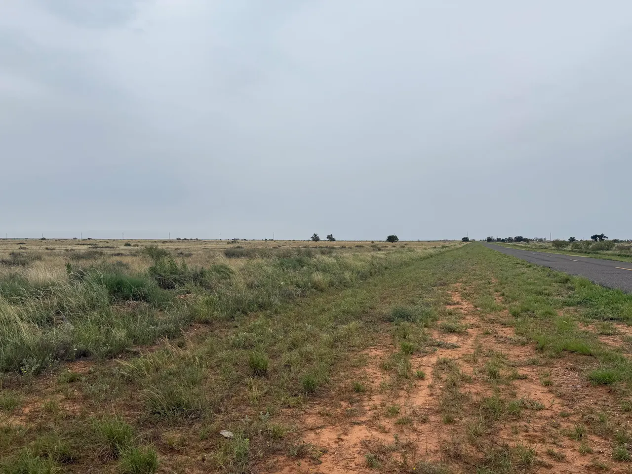 Photo 10 — 0 Fm 168, Brownfield, TX 79316
