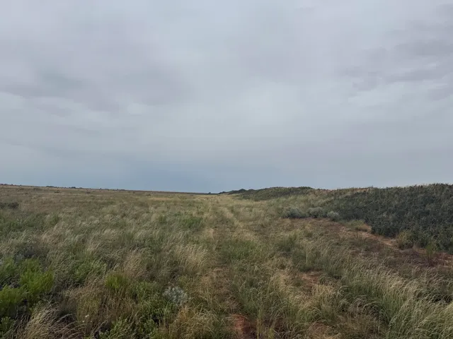 Photo 5 — 0 Fm 168, Brownfield, TX 79316