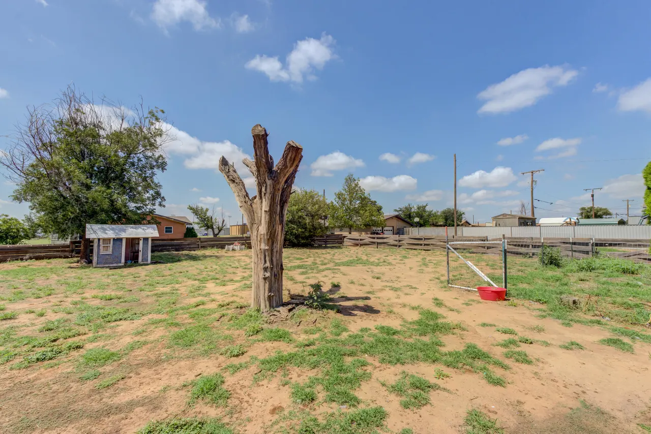 Photo 65 — 802 3rd Street, Meadow, TX 79345