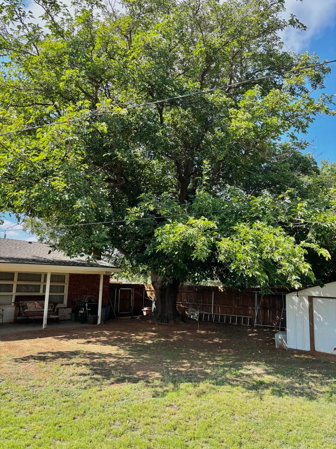 Photo 11 — 1401 E Tate Street, Brownfield, TX 79316