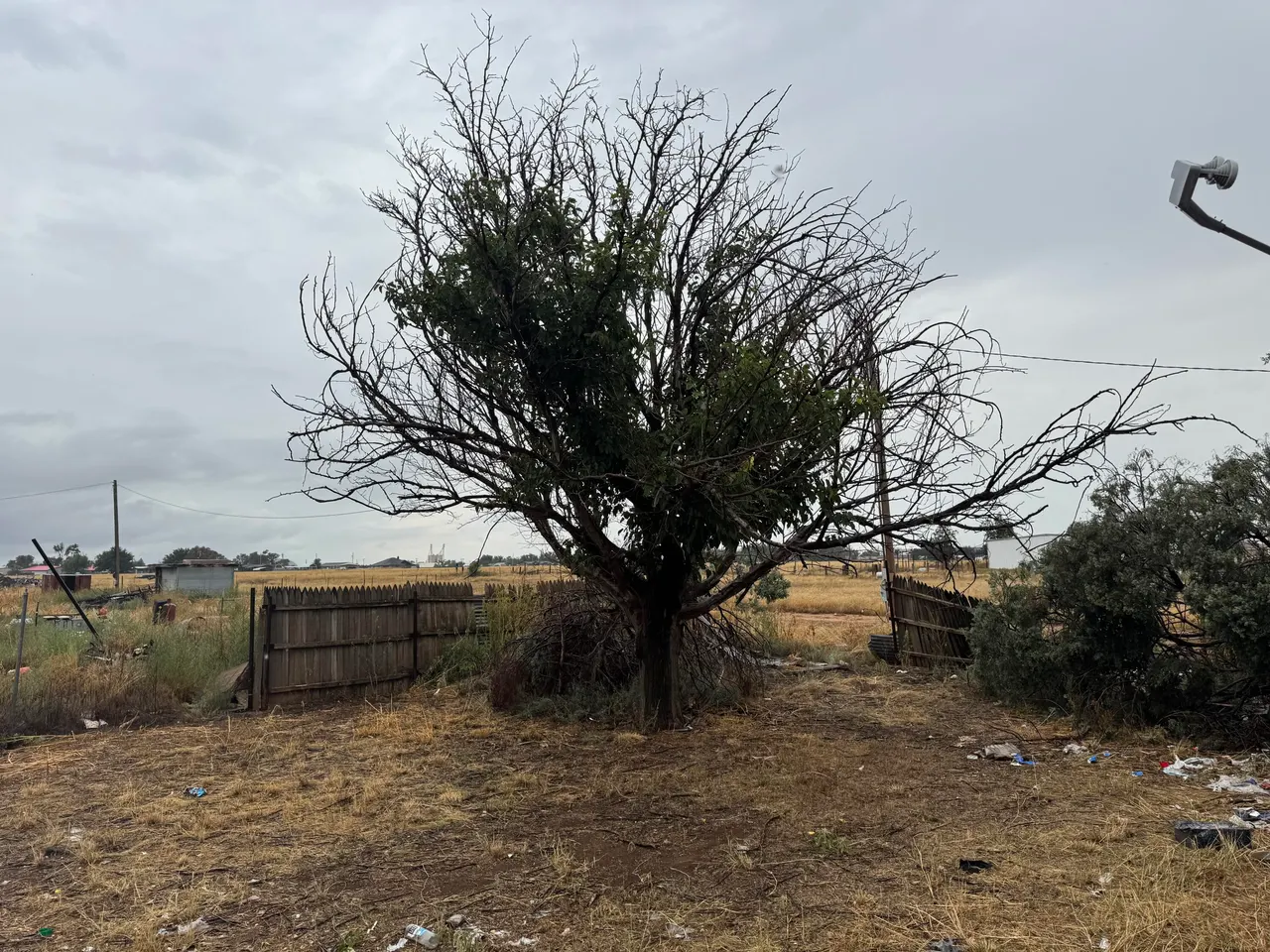 Photo 26 — 2330 E Ellis Street, Levelland, TX 79336
