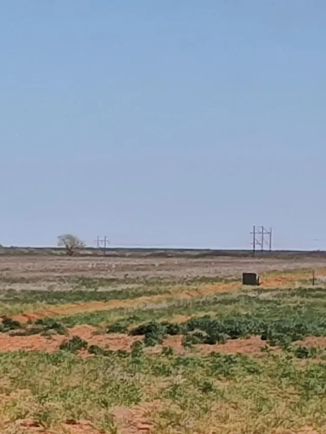 Photo 2 — 0 LOt 23, CR 305, Wellman, TX 79316
